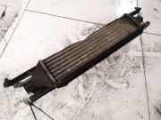 Ladeluftkühler Fiat Punto, 2005.10 - 2012.03 Gebraucht,