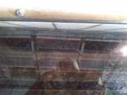 Zusatzbremsleuchte Toyota Corolla, 2004.02 - 2007.02 facelift Gebraucht,