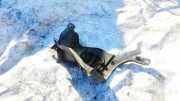 Unterfahrschutz Honda Insight, II 2009.01 - 2011.12 74165TM8A00, 74165-TM8-A00