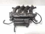 Ansaugkrümmer Renault Megane, II 2002.11 - 2006.06 8200275053, 50476ls
