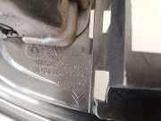 Lüftungsgitter Armaturenbrett Citroen C5, I 2004.08 - 2008.02 facelift 9650443077,