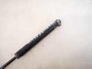 Gasdruckfeder Kofferraum Nissan Primera, P12 2002.01 - 2008.12 84430av600,