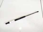 Gasdruckfeder Kofferraum Fiat Punto, 2005.10 - 2012.03 0924wg0350n,
