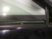 Zierleiste Leiste - Vorne Rechts Honda Accord, 2005.09 - 2008.05 facelift Gebraucht,