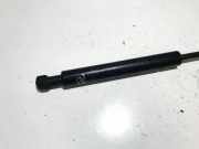 Gasfeder für Motorhaube BMW X5, E53 facelift 2004 - 2006 51238402551,0640n 23004c27