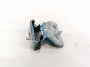 Türscharnier Hinten Citroen C4 Grand Picasso, I 2006.01 - 2013.06 Gebraucht,