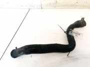 Kühlerschlauch Ford C-MAX, 2003.01 - 2007.06 Gebraucht ,