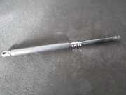 Gasdruckfeder Kofferraum Citroen C2, I 2003.09 - 2006.06 9648388480,96.483.884.80