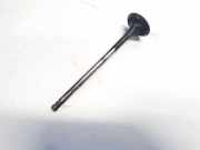 Auslassventil Renault Vel Satis, 2002.06 - 2009.12 Gebraucht,