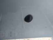 Waschwasserdüse Scheibenreinigung SAAB 9-5, 1997.09 - 2005.11 Gebraucht,