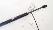 Gasdruckfeder Kofferraum Land-Rover Freelander, 2006.10 - 2013.12 6h5216c826bd,
