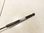 Gasfeder für Motorhaube Hyundai Santa Fe, 2006.03 - 2012.09 811602b010,