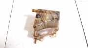 Ausgleichsbeh?lter Renault Espace, III 1996.11 - 2002.10 6025301899,