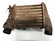 Ladeluftkühler Volkswagen Golf, III 1993.07 - 1999.04 1h0145805b, akg1195 1Z