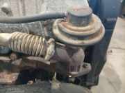 AGR Ventil Citroen Berlingo, I 2002.11 - 2008.04 facelift Gebraucht,