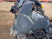 Zahnriemenschutz Abdeckung Renault Scenic, I 1999.09 - 2003.06 facelift Gebraucht,