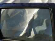 Seitenscheibe - Hinten Rechts Seat Cordoba I 1999.06 - 2002.06 facelift Gebraucht,