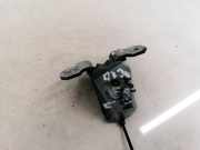 Türscharnier Vorne Renault Vel Satis, 2002.06 - 2009.12 Gebraucht ,