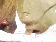 Radhausschale - Vorne Rechts Ford Galaxy, Mk III 2006.04 - 2010.06 Gebraucht,