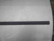 Zierleiste Tür Zier-Schutzleiste - Vorne Rechts Ford C-MAX, 2003.01 - 2007.06 Gebraucht ,