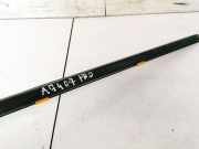 Zierleiste Leiste - Vorne Rechts Nissan Almera Tino 2000.08 - 2003.09 Gebraucht ,