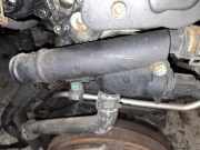 Thermostat Volkswagen Passat, B6 2005.08 - 2010.11 038121132d, BKC