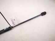 Gasdruckfeder Kofferraum Audi A6, C6 2005.01 - 2008.10 Gebraucht,