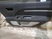 Türverkleidung - Hinten Rechts Dodge Journey. 2009.01 - 2014.12 Gebraucht,