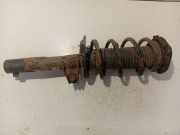 Stoßdämpfer - Vorne Rechts Skoda Octavia, II 2004.02 - 2009.03 312267,312 267 4903 007 073 2-M74-A 18 044 4903007073 2M74A 18044
