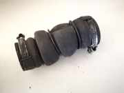 Intercooler Schlauch Citroen Berlingo, II 2008.04 - 2018 9684994080,