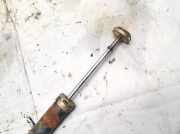 Stoßdämpfer - Hinten Linke Toyota Corolla Verso, II 2001.09 - 2004.05 Gebraucht,