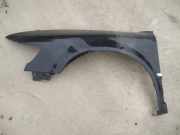 Kotflügel - Vorne Linke Volkswagen Phaeton, 2002.04 - 2006 juodas, BMK