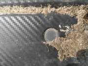 Sensor für Einparkhilfe - HINTEN Chrysler 300C, I 2005.01 - 2010.06 Gebraucht,