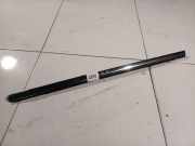 Zierleiste Leiste - Hinten Linke Chrysler 300C, I 2005.01 - 2010.06 Gebraucht,