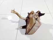 Scheibenwaschbehälter Vorne Wischwasserbehälter Opel Vectra, C 2005.10 - 2008.12 facelift Gebraucht,