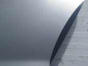 Zierleiste Tür Zier-Schutzleiste - Hinten Linke Audi Allroad, C6 2006.05 - 2011.08 Gebraucht,