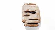 Bremssattel - Vorne Rechts Jaguar S-Type, 1999.01 - 2002.04 5501,