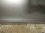 Zierleiste Tür Zier-Schutzleiste - Vorne Rechts Honda FR-V, 2004.08 - 2009.12 Gebraucht,