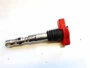 Zündspule Audi A4, B6 2000.11 - 2004.11 06C905115L,06C905115L 12433ESM L1H21C