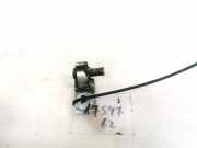 T?rscharnier Vorne Volkswagen Passat, B5 1996.08 - 2000.11 Gebraucht, ahu