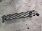 Ladeluftkühler Renault Laguna, III 2010.11 - 2015.12 facelift 144960001RI, 144960001RI M4925005