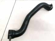 Intercooler Schlauch Renault Scenic, I 1996.01 - 1999.09 7700874921,7700875566