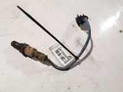 Lambdasonde -4 Drähte WEISS WEISS SCHWARZ GRAU Ford KA, 2008.11 - 2014 Gebraucht,