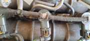 Einspritzdüse Fiat Croma 2005 - 2011 0445110243,