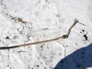 Stabilisator Stabi Hinten Hinterachse Mercedes-Benz ML, W163 1998.02 - 2005.06 Gebraucht,