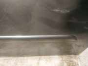 Zierleiste Tür Zier-Schutzleiste - Vorne Rechts Citroen C4 Grand Picasso, I 2006.01 - 2013.06 Gebraucht,