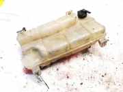 Ausgleichsbehälter Iveco Daily, 2006.01 - 2011.06 Gebraucht,