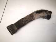 Schlauch für Luftversorgung Seat Ibiza, III 2002.02 - 2009.11 6q0129618g,