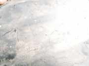 Radhausschale - Hinten Linke Nissan Qashqai, I 2006.01 - 2010.06 76749jd00a, 76749-jd00a