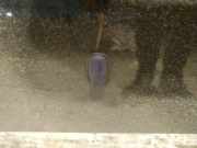 Waschwasserdüse Scheibenreinigung Ford Grand C-MAX, 2011.01 - 2019 Gebraucht,